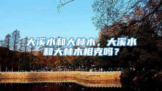 大溪水和大林木,大溪水和大林木相克吗?