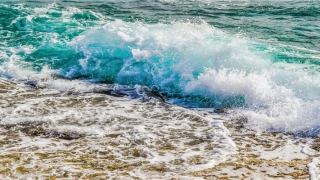 85属牛的35岁后的运气(2021值太岁)