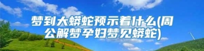 梦到大蟒蛇预示着什么(周公解梦孕妇梦见蟒蛇)