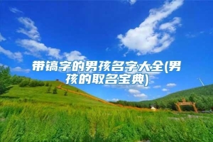 带镐字的男孩名字大全(男孩的取名宝典)