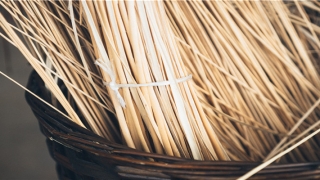 脚上长痣图解大全(脚底长痣图解)