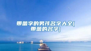 带蕾字的男孩名字大全(带蕾的名字)