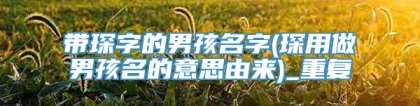 带琛字的男孩名字(琛用做男孩名的意思由来)_重复