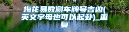 梅花易数测车牌号吉凶(英文字母也可以起卦)_重复