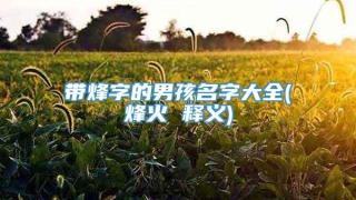 带烽字的男孩名字大全(烽火 释义)