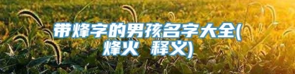 带烽字的男孩名字大全(烽火 释义)