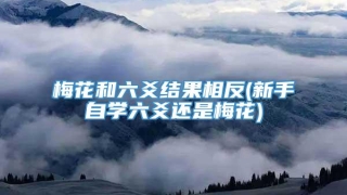 梅花和六爻结果相反(新手自学六爻还是梅花)