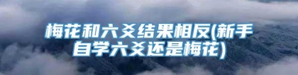 梅花和六爻结果相反(新手自学六爻还是梅花)