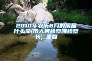 2010年农历8月的虎是什么命(市人民检察院检察长)_重复