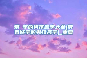 带珅字的男孩名字大全(带有修字的男孩名字)_重复