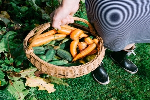71年属猪女人的运气(生肖属猪人2018年运势及运程)_重复