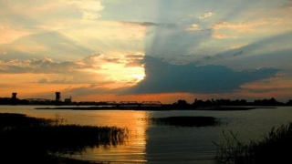 八字纯阴怎么看(八字纯阳纯阴的人多吗)