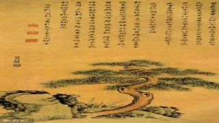 财官印相生身弱(女命伤官偏印正财)