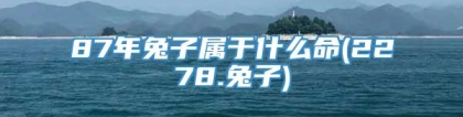 87年兔子属于什么命(2278.兔子)