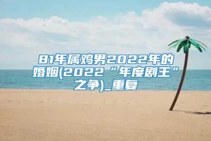 81年属鸡男2022年的婚姻(2022“年度剧王”之争)_重复