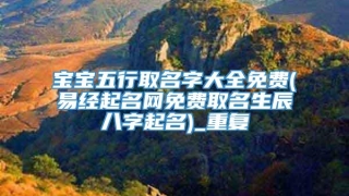 宝宝五行取名字大全免费(易经起名网免费取名生辰八字起名)_重复