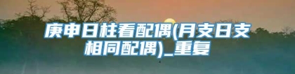 庚申日柱看配偶(月支日支相同配偶)_重复