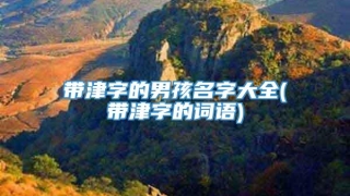 带津字的男孩名字大全(带津字的词语)