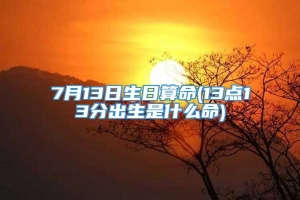 7月13日生日算命(13点13分出生是什么命)