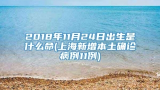 2018年11月24日出生是什么命(上海新增本土确诊病例11例)