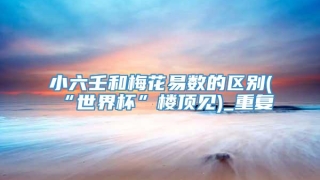 小六壬和梅花易数的区别(“世界杯”楼顶见)_重复