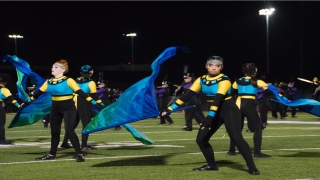 豆蔻年华什么意思(十三岁豆蔻年华什么意思)