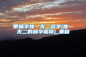 带杨字独一无二名字(独一无二的杨字昵称)_重复