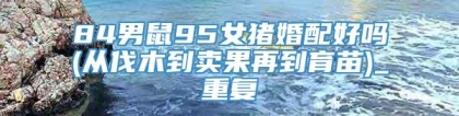84男鼠95女猪婚配好吗(从伐木到卖果再到育苗)_重复