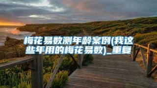 梅花易数测年龄案例(我这些年用的梅花易数)_重复