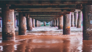 中国易经研究学会官方网站(易经研究学会会长程小文)_重复