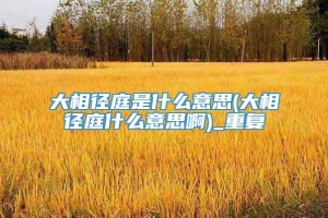 大相径庭是什么意思(大相径庭什么意思啊)_重复