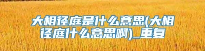 大相径庭是什么意思(大相径庭什么意思啊)_重复
