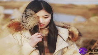 眉毛好的人(什么样的眉毛有气质)