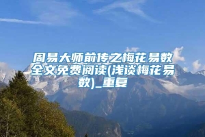 周易大师前传之梅花易数全文免费阅读(浅谈梅花易数)_重复