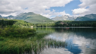 2个字的霸气网名(取个霸气的网名字大全)_重复