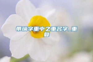 带璃字重中之重名字_重复