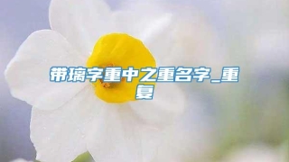 带璃字重中之重名字_重复