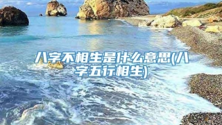 八字不相生是什么意思(八字五行相生)