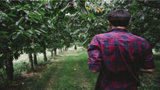 85年属什么命(85岁老人足浴店半年消费近40万)