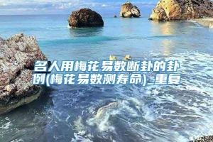 名人用梅花易数断卦的卦例(梅花易数测寿命)_重复