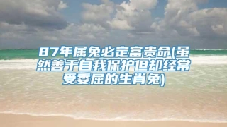 87年属兔必定富贵命(虽然善于自我保护但却经常受委屈的生肖兔)