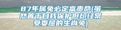 87年属兔必定富贵命(虽然善于自我保护但却经常受委屈的生肖兔)