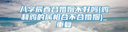 八字辰酉合婚姻不好吗(鸡和鸡的属相合不合婚姻)_重复
