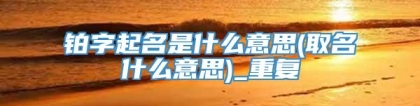 铂字起名是什么意思(取名什么意思)_重复