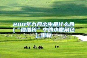 2011年九月出生是什么命(“稳增长”中的小微角色)_重复