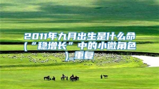 2011年九月出生是什么命(“稳增长”中的小微角色)_重复