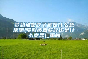 梦到被蛇咬了脚是什么意思啊(梦到被毒蛇咬伤是什么意思)_重复