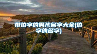带伯字的男孩名字大全(伯字的名字)