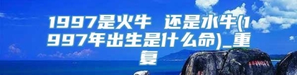 1997是火牛 还是水牛(1997年出生是什么命)_重复