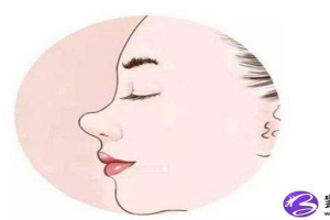 鼻梁和鼻翼(高鼻梁给人的感觉)